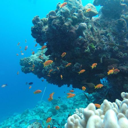 Rasdhoo Coralville Exterior foto